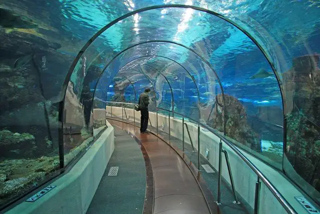 Barcelona Aquarium